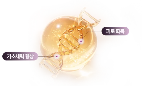 sc301의원 셀뱅킹 설명이미지
