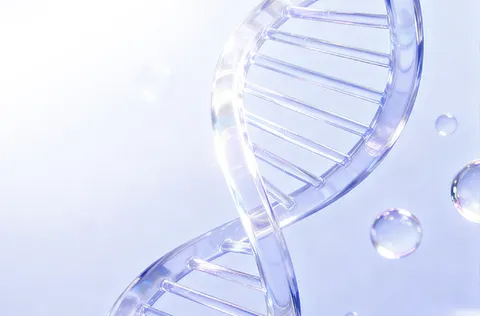 면역증강클리닉 프로그램 네번째 이미지