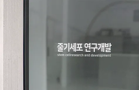 줄기세포(SVF) 흉터치료의 특별함 세번째 이미지